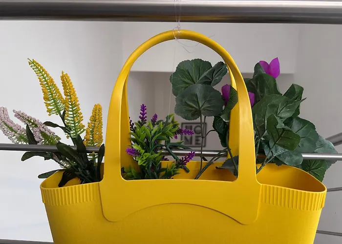 Panzió Il Corso Di Silvia 4*